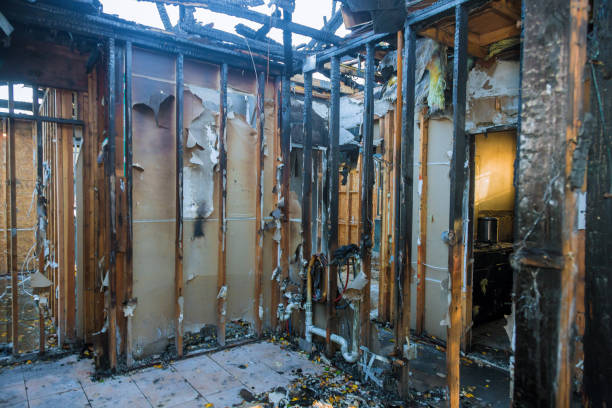 Professional Fire Damage Assessment technician working in Plano, TX